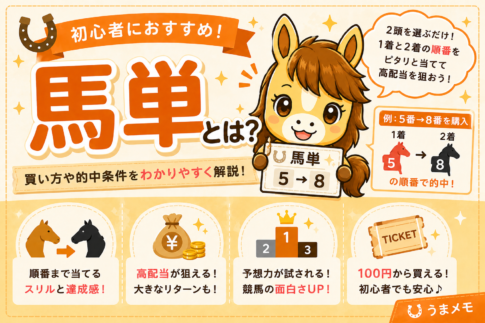 馬連より高配当！？馬単とは？買い方やコツを初心者向けに徹底解説【競馬入門】